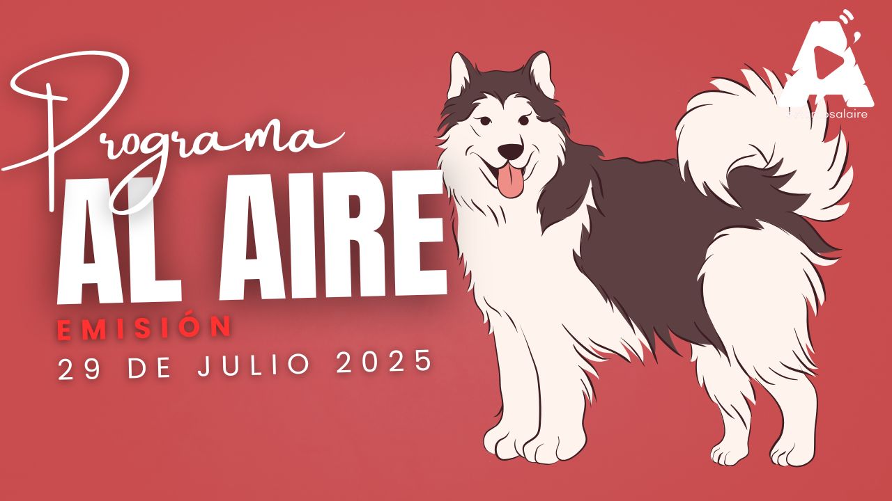 Max, el perrito que caminó 8 km de noche por su burrito favorito