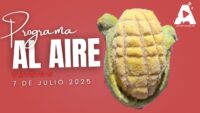 La conchaelote: el pan dulce que rinde homenaje al maíz mexicano
