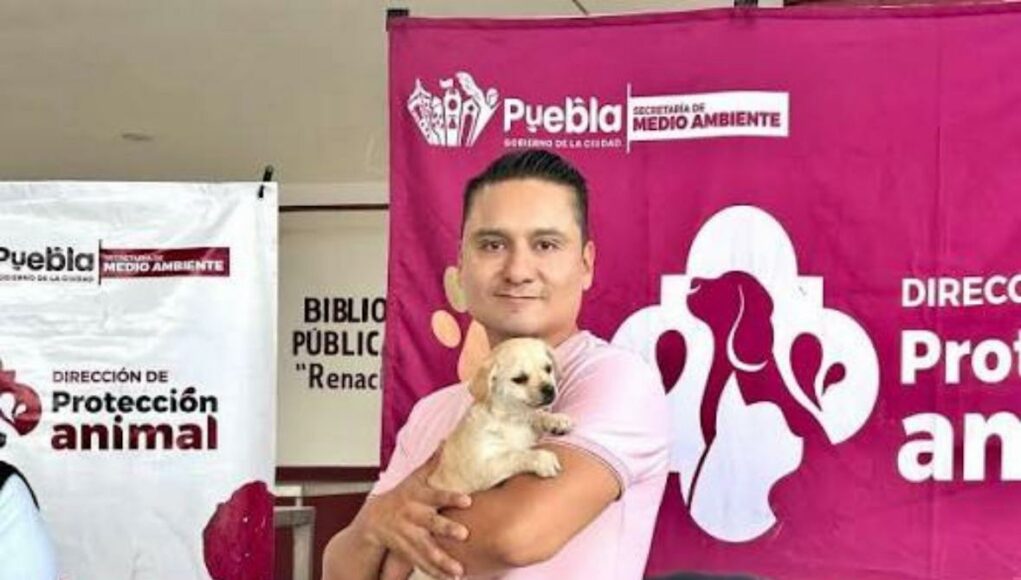 Puebla avanza en bienestar animal: más de 73 mil vacunas y 12 mil esterilizaciones en 2025 Puebla avanza en bienestar animal: más de 73 mil vacunas y 12 mil esterilizaciones en 2025