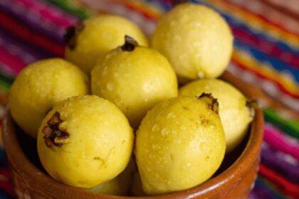 Calvillo, la Capital Mundial de la Guayaba y orgullo de Aguascalientes