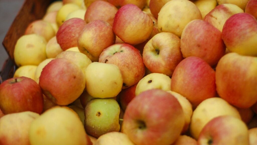 Datos curiosos de las manzanas que no conocías