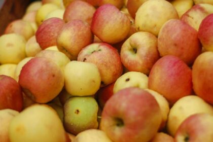 Datos curiosos de las manzanas que no conocías