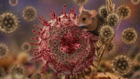 Hantavirus y los 100 años de David Attenborough marcan la conversación global