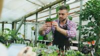Las mejores plantas para decorar tu casa y que requieren poca agua