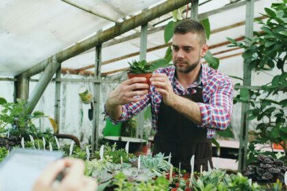 Las mejores plantas para decorar tu casa y que requieren poca agua