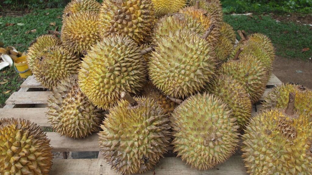 Durián: la fruta más exótica y polémica del planeta