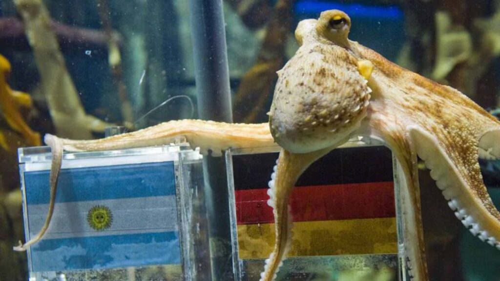 Paul el pulpo