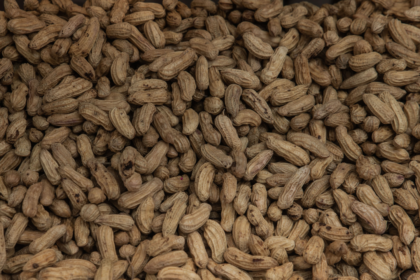 Beneficios de comer cacahuates: ¿qué le pasa a tu cuerpo si los consumes?