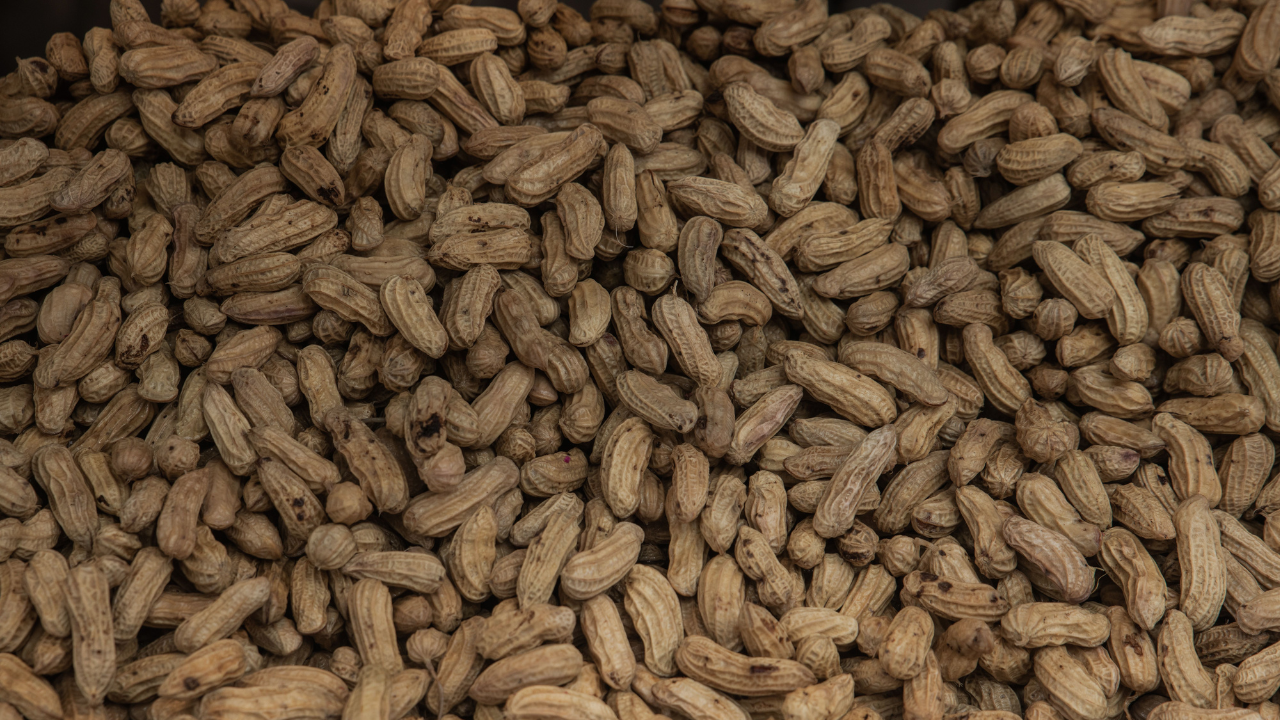 Beneficios de comer cacahuates: ¿qué le pasa a tu cuerpo si los consumes?