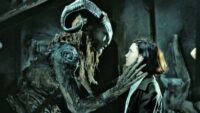 YA 20 AÑOS DEL FAUNO FAVORITO