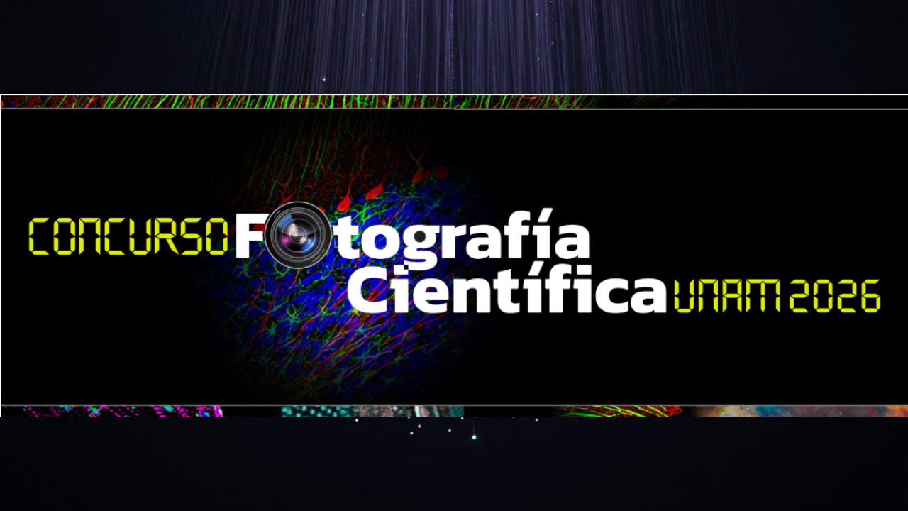 Concurso de Fotografía Científica