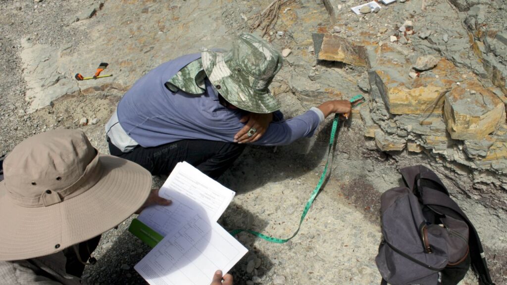 BUAP descubre nuevas huellas de dinosaurio en Puebla