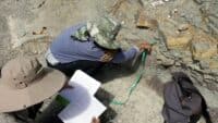 BUAP descubre nuevas huellas de dinosaurio en Puebla
